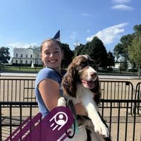 Room wanted in NYC Main Photo