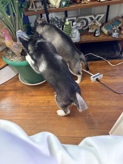 Room wanted in White Plains, NY Main Photo