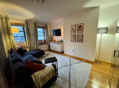 Great Apartment on Lower East Side (Houston St) Main Photo