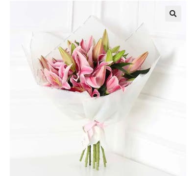 Room wanted in South Boston, MA Main Photo