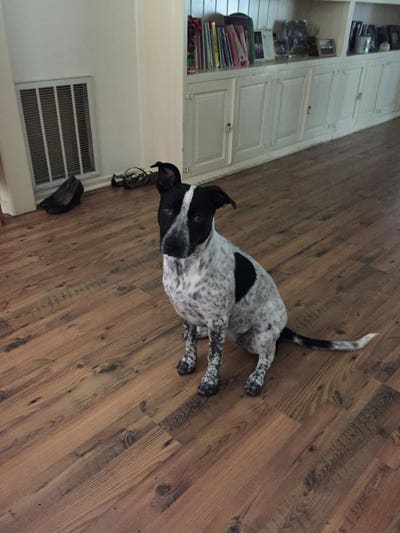 Room wanted in Hamburg germany Main Photo