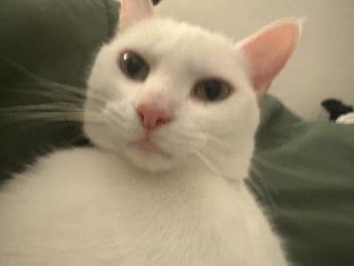 27 year old female looking for Belmont Heights Main Photo