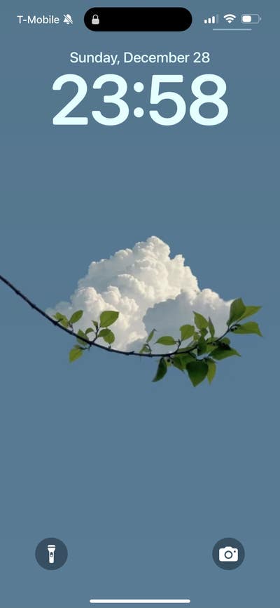 Room wanted in Weehawken, NJ Main Photo