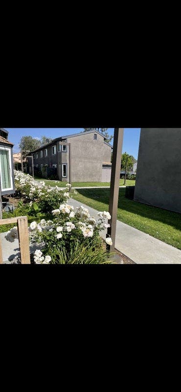 Available Room for Rent in North Hollywood! Main Photo