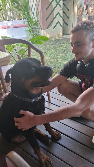 Room wanted in New York Main Photo