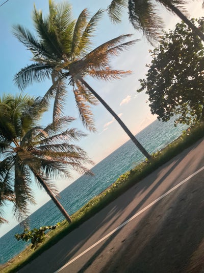 Room wanted in NYC Main Photo