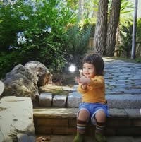 Room wanted in NYC Main Photo