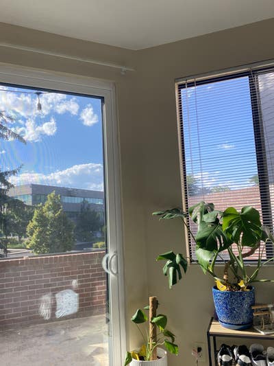 Room for Rent in North Boulder Main Photo