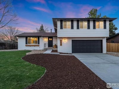 Looking for my Golden Girls Main Photo