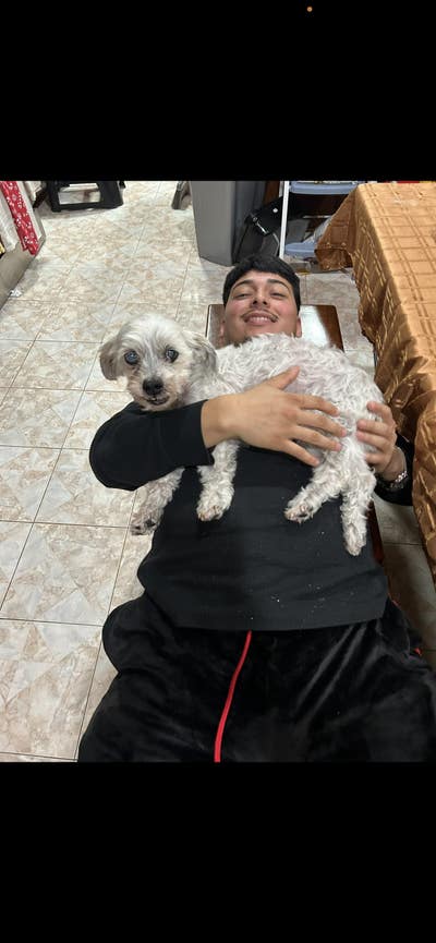 Student mechanic looking for room in the Valley Main Photo