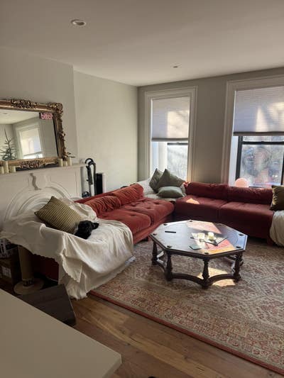 Sun Drenched Brownstone 2 Story -Room (W/D in Unit Main Photo