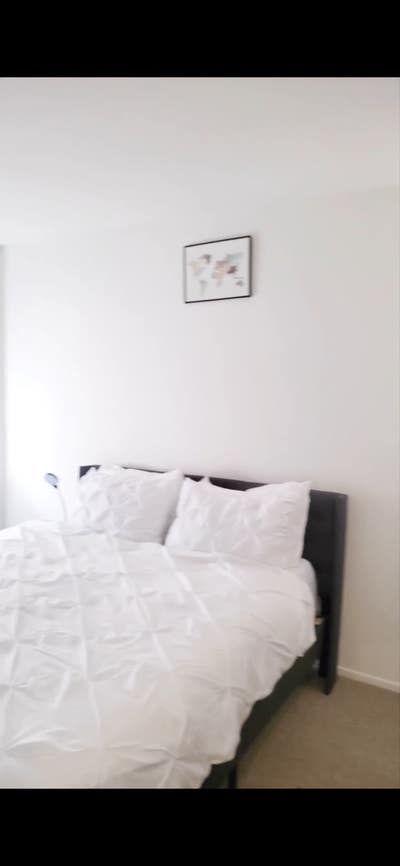 Looking for quiet, kind, and clean, Single Male Main Photo