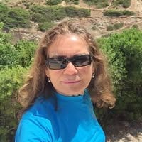 Room wanted in Palm Harbor, FL Main Photo