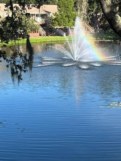 Private Room Available – Peaceful 2BR Apartment Main Photo