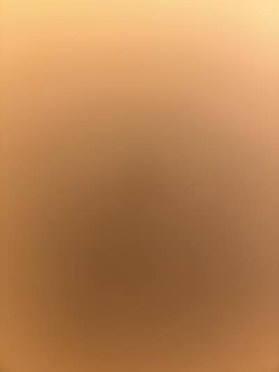 Room wanted in Pinellas Park, FL Main Photo