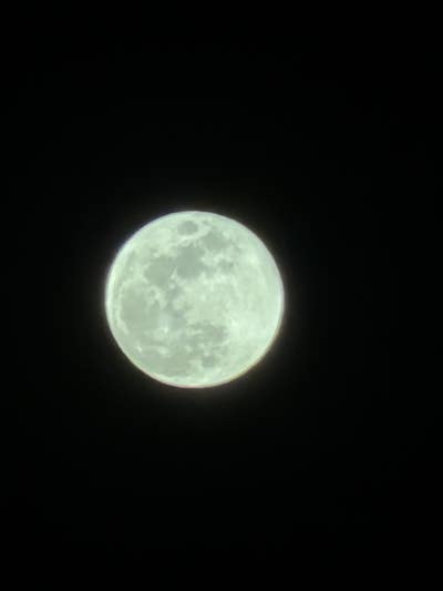 Room wanted in NYC Main Photo