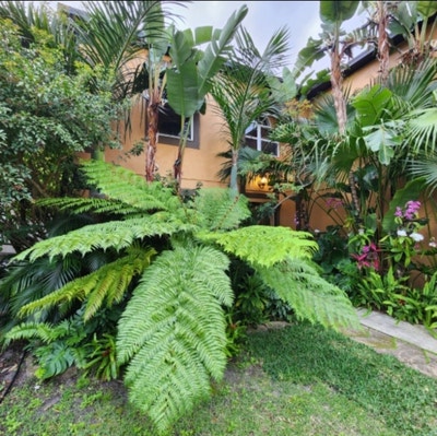 Tropical Paradise Classy Nicely Furnished Home Main Photo