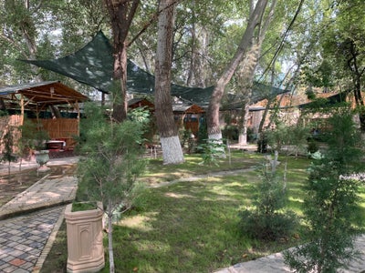 Room wanted in New York Main Photo