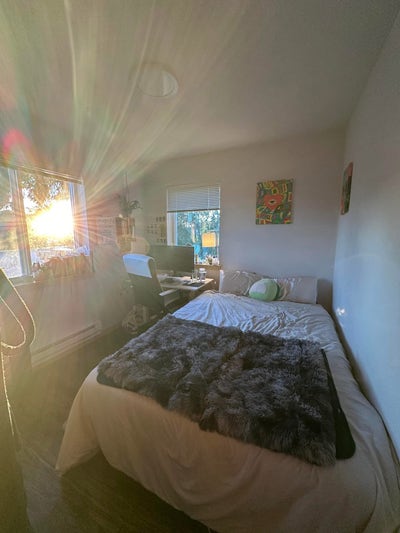 Quiet Cap Hill room available (+ an adorable 🐶!) Main Photo