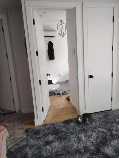 OASIS shared space in Williamsburg Main Photo