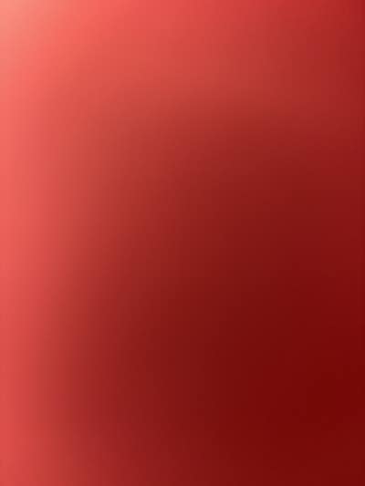 Room wanted in NYC Main Photo