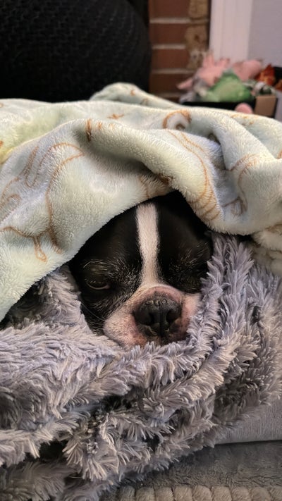 Room wanted in Daly City, CA Main Photo