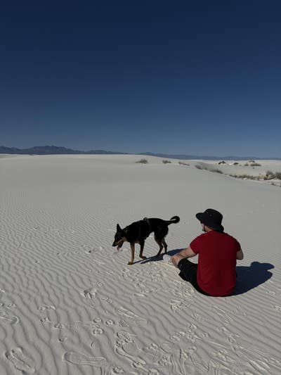 Room wanted in Phoenix Main Photo