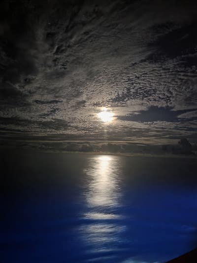 Responsible man looking for a room in Orange Main Photo