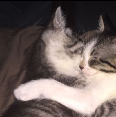 Room wanted in Marble Falls, TX Main Photo