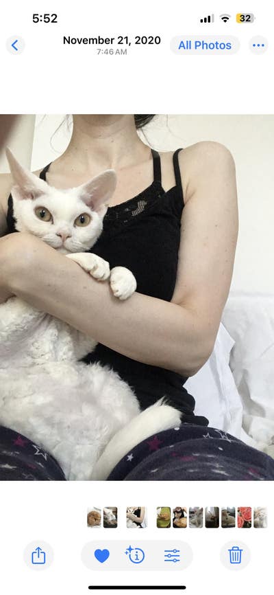 Room wanted in Park Slope, Brooklyn, NY Main Photo