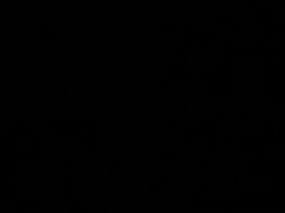 Room wanted in Las Vegas Main Photo