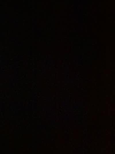 Room wanted in NYC Main Photo