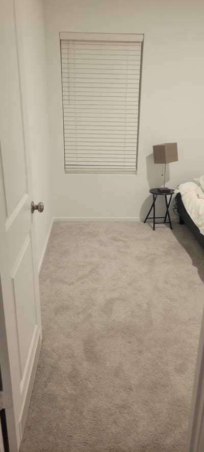 Nerdy Couple Seek like minded Renter Main Photo