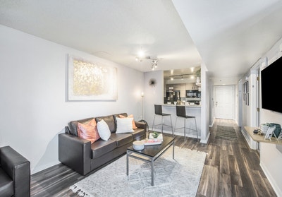 Summer Sublease Near USF – Private Bath Main Photo