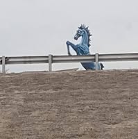 Room wanted in Riverside Main Photo