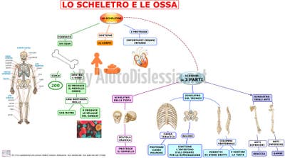 Room wanted in New York Main Photo