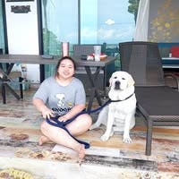 Room wanted in Stamford, CT Main Photo