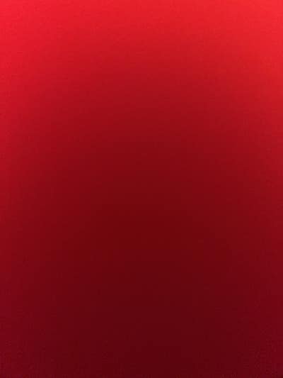 Room wanted in Bronx, NY Main Photo