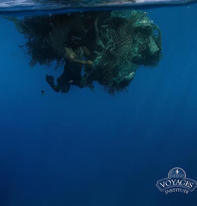 26 year old male student needs LA room ASAP Main Photo