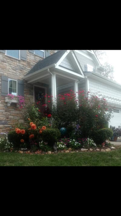 Single Room in 3 bed house in Charlottesville Main Photo