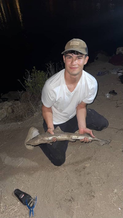 Room wanted in 92069 Main Photo