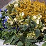 Room wanted in venice, fl Main Photo