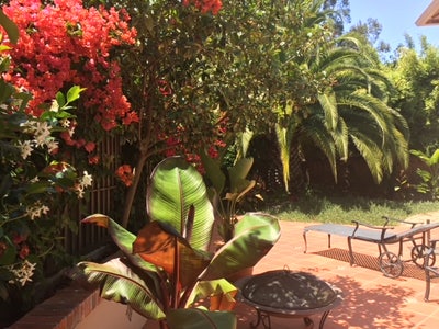 Furnished Room in Quiet Green Cul-de-Sac Main Photo