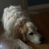 Room wanted in Spring Valley, NV Main Photo