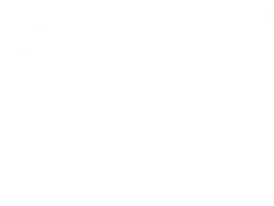 Room wanted in NYC Main Photo