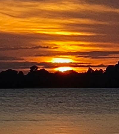 Room wanted in NYC Main Photo