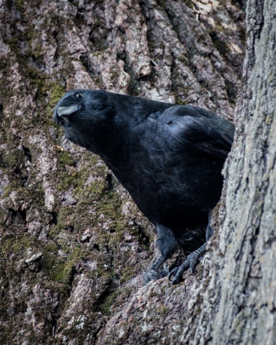 Room wanted in New York Main Photo