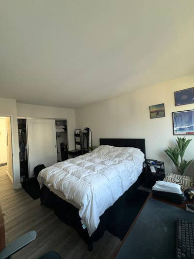 Room available on a big 3BR/2BA luxury apartment  Main Photo