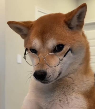 Student looking for a room in Montebello area Main Photo