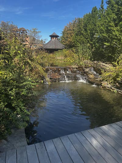 Room wanted in Hudson Yards, Manhattan, NY Main Photo